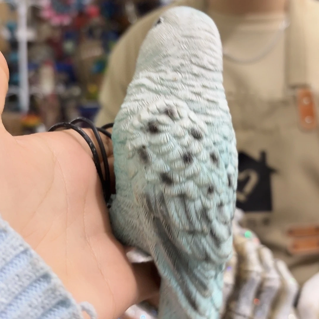 核桃木/黑胡桃（胡桃木）