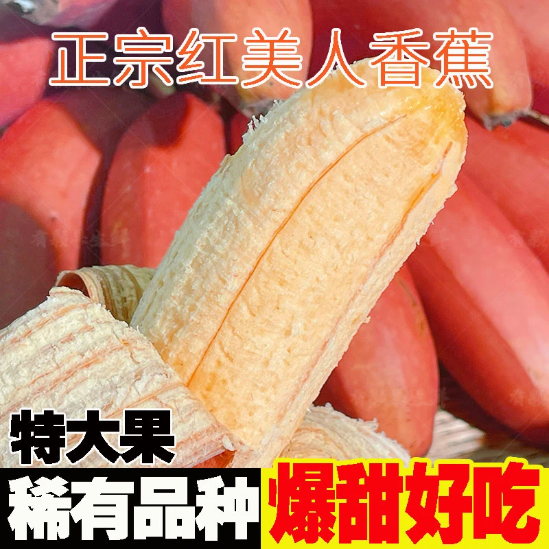 【稀有水果红美人蕉】特大果应季红皮香蕉正宗广西新鲜水果现摘现发