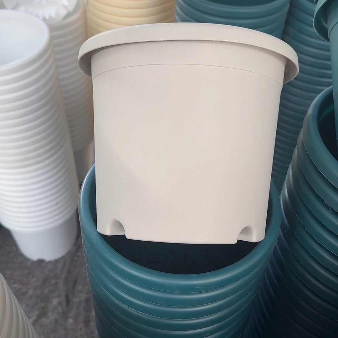 树脂四季3号无托6个灰白