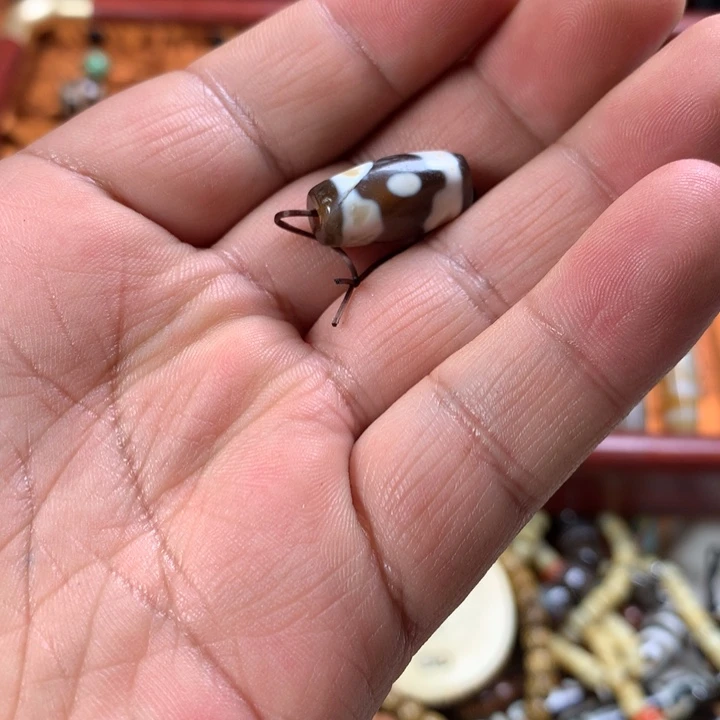 琉璃磁石天然散珠
