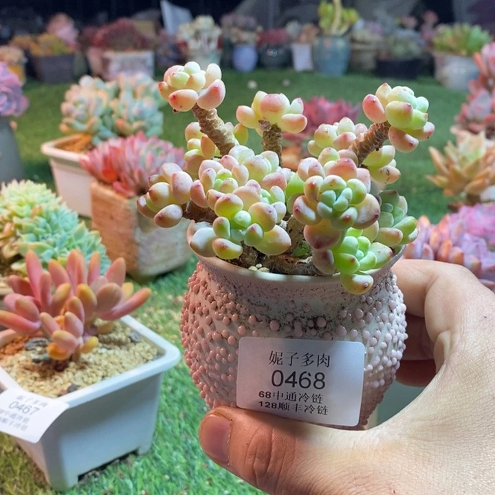 0468啊啊啊啊啊啊啊啊啊啊啊