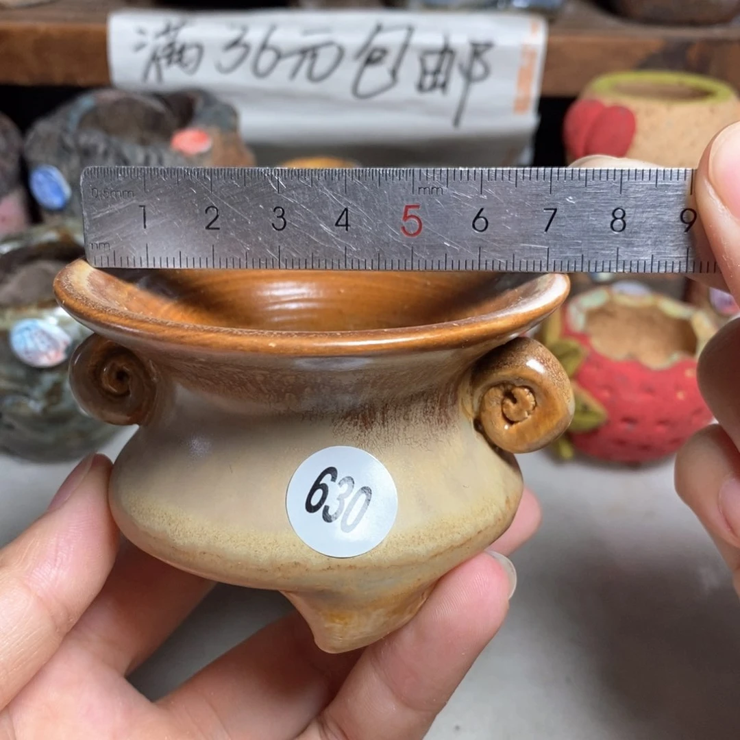拍5送一个小礼物