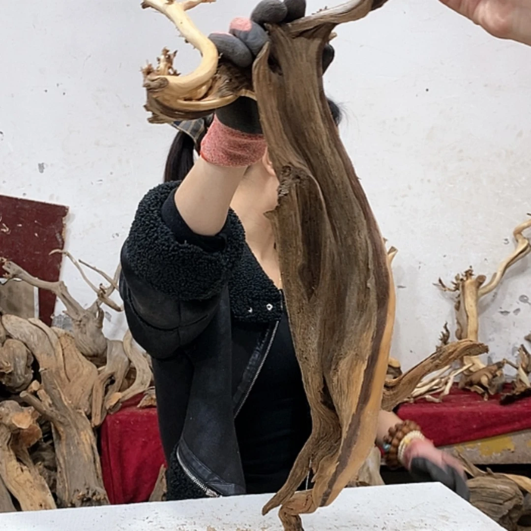 【闪购商品】柏木人****忧我们都是好孩子