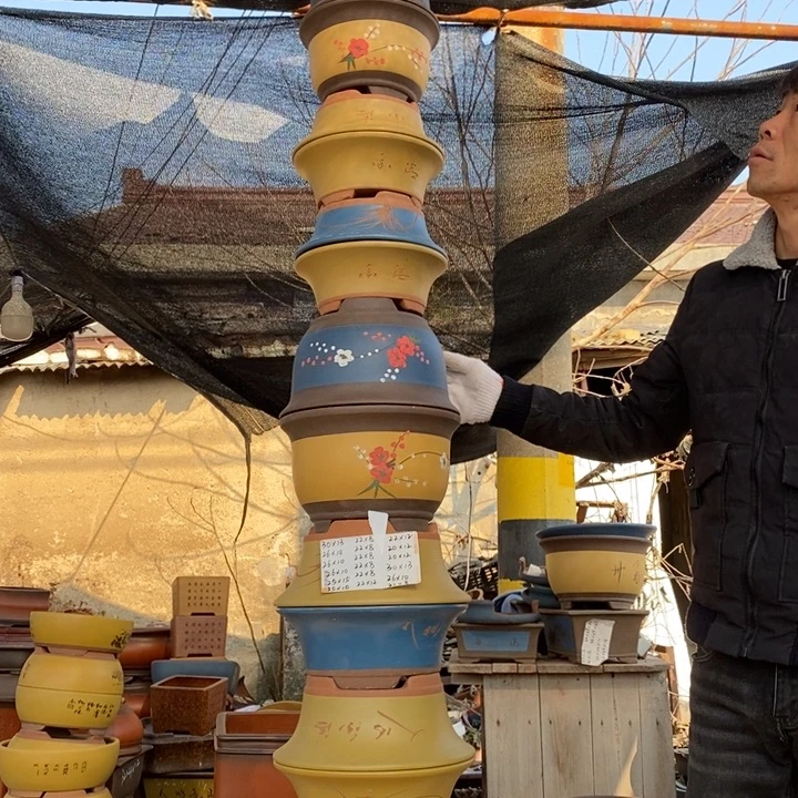 紫砂花盆紫砂特疼。紫砂