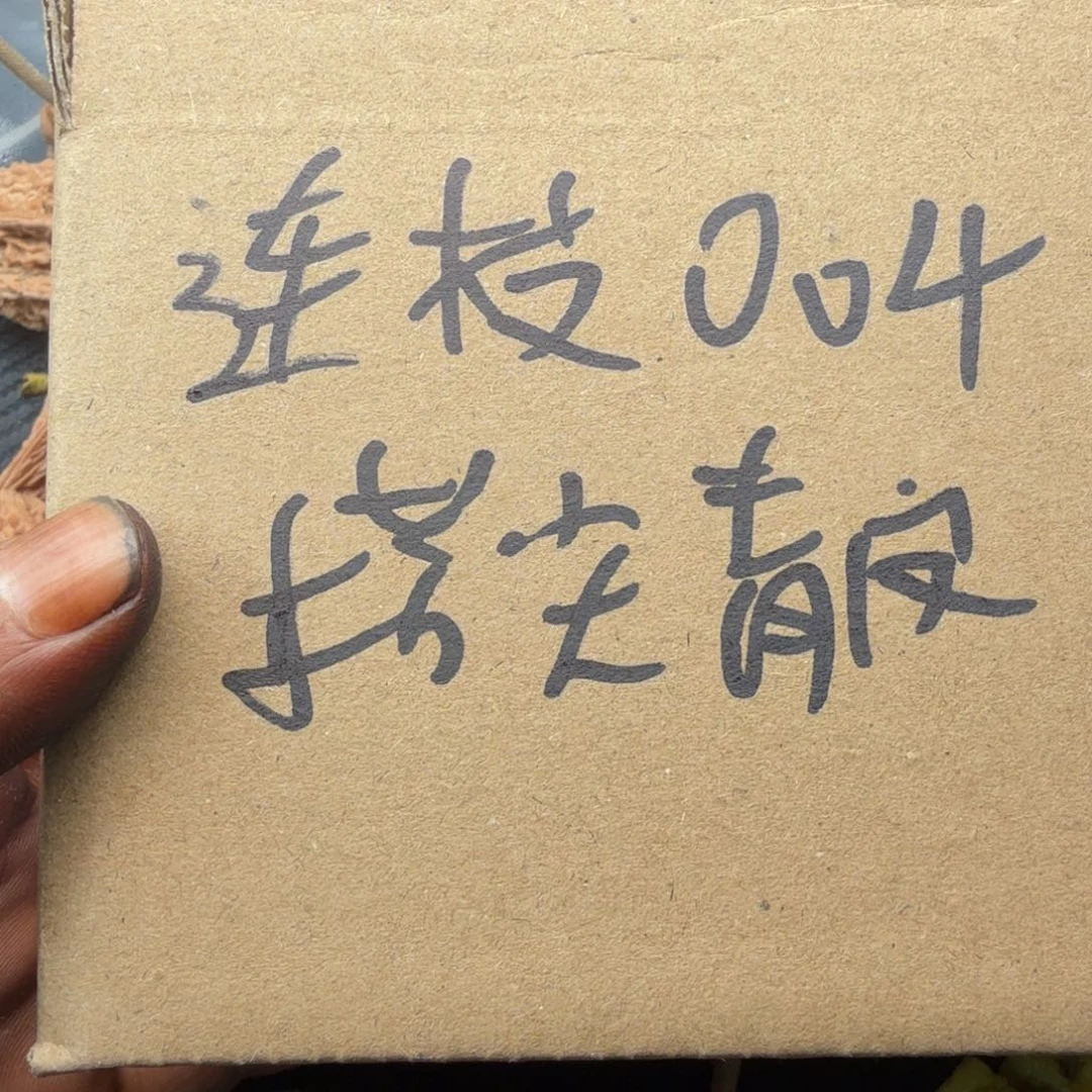 桃核吊坠004塔尖连枝