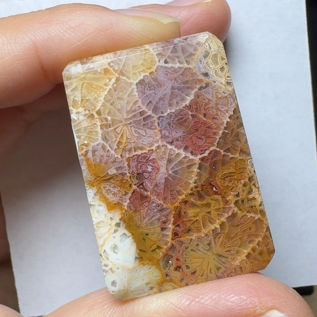 硅化玉小号万花筒未镶嵌