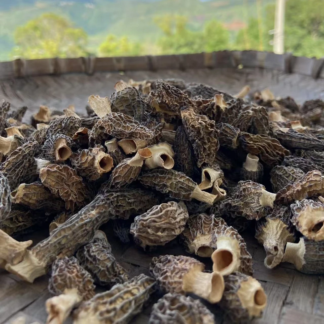 （阿布专属）野生羊肚菌100克起拍