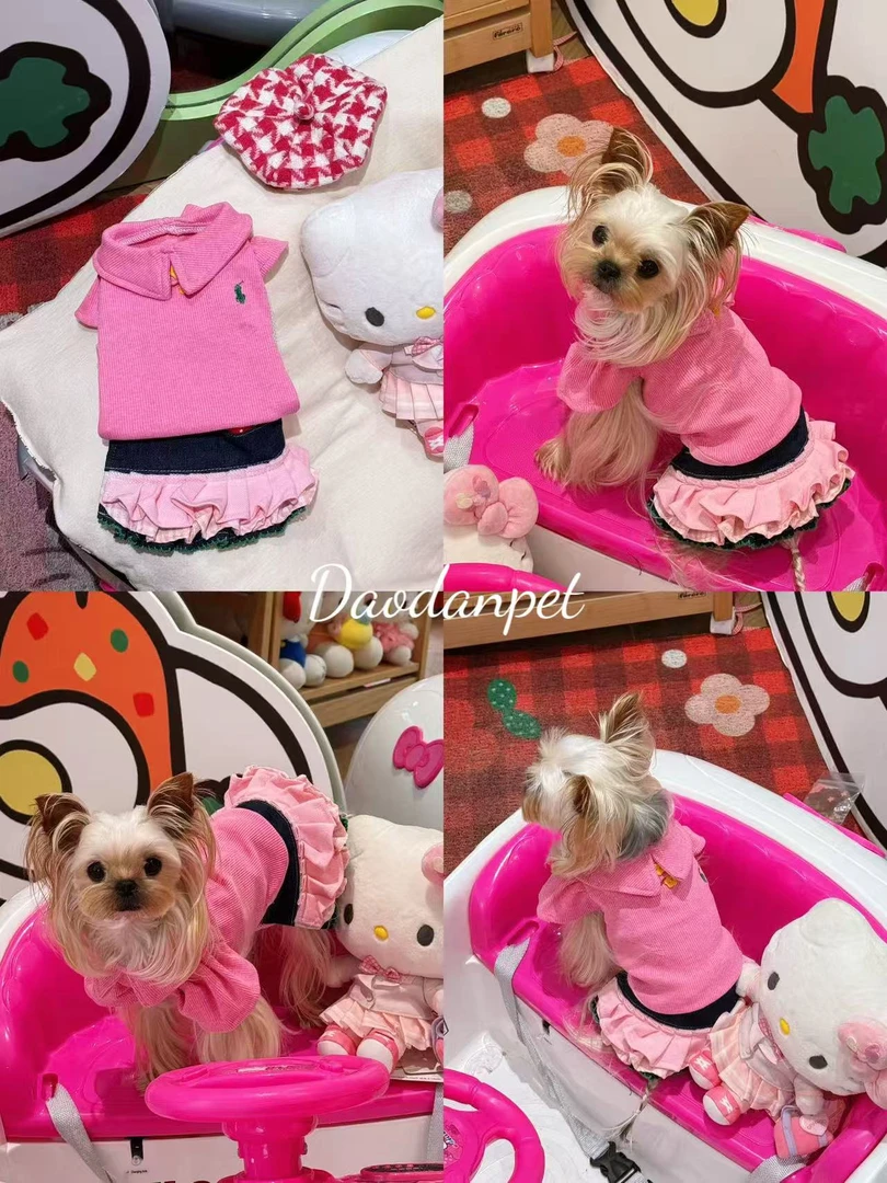 捣蛋家萌宠服饰啵啵间过款  确认尺码去拍！某夫