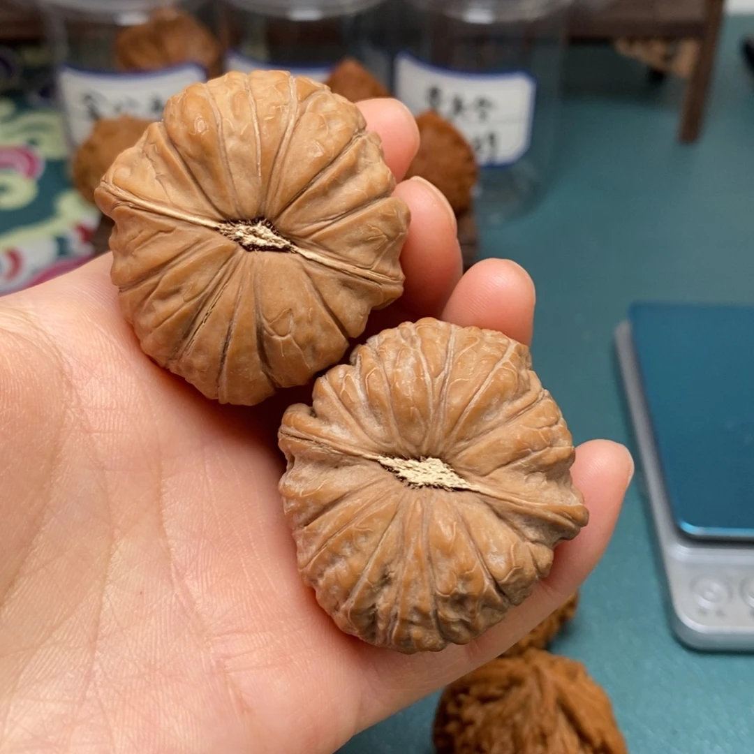核桃43尺全品南瓜墩