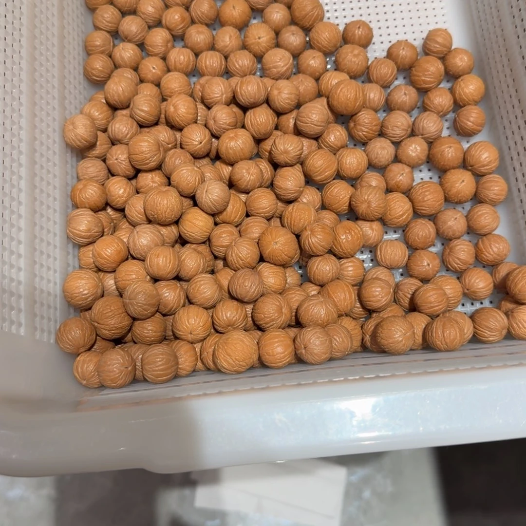 健***乐手串/手链核桃260多颗聚宝盆散子