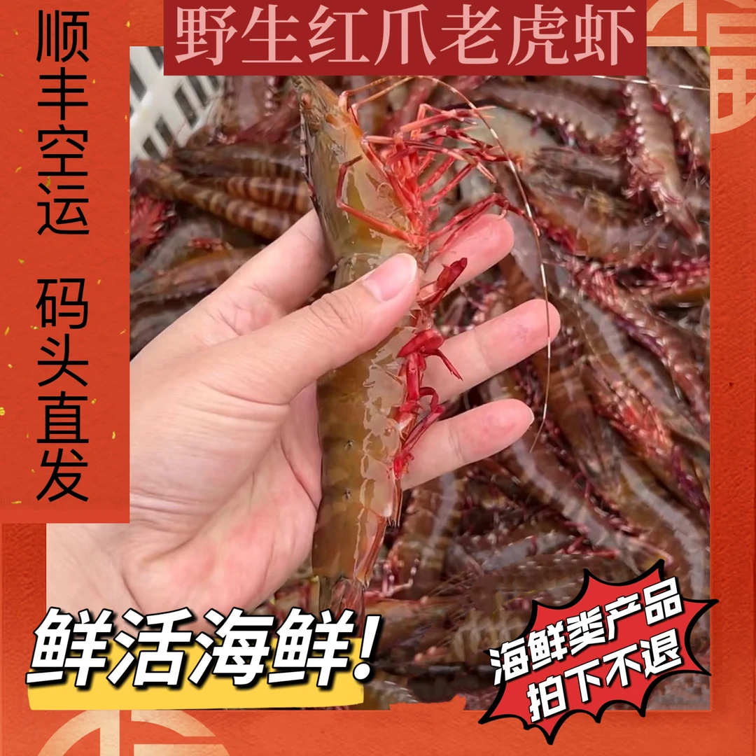 鲜活红爪虾 北海本港海鲜 加水活冻锁鲜 当天上岸（拍下不退）
