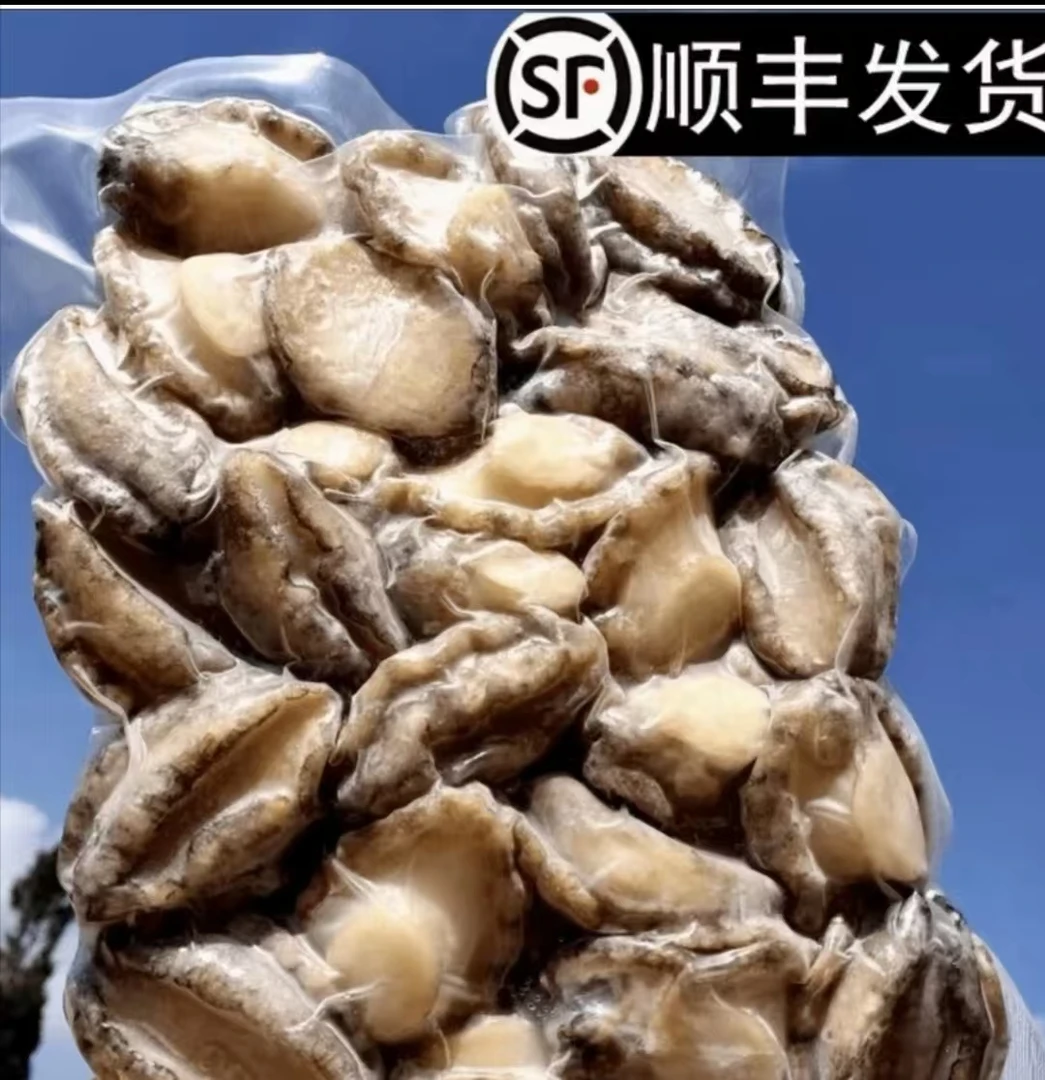 【恒昌精选】脱壳鲍鱼肉收到速冻储存称重产品