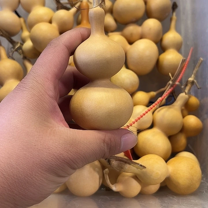 四***升有机玻璃蚂蚁蚂蚁蚂蚁蚂蚁