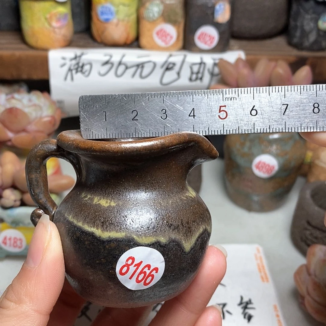 红陶拍5送一个小