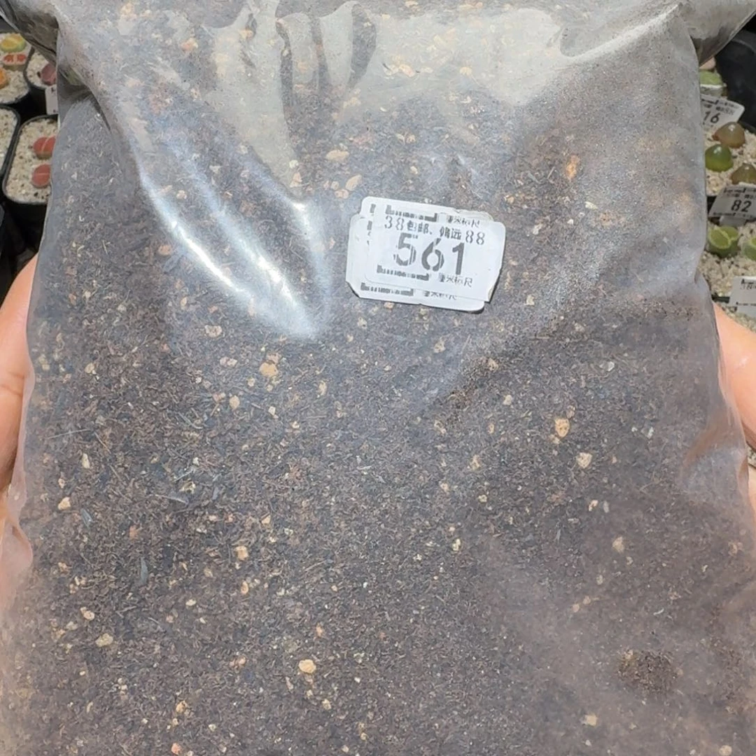 Sssss清仓便宜了561