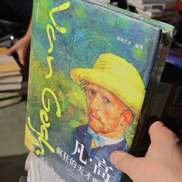 梵高疯狂的天才画家精装塑封全新。
