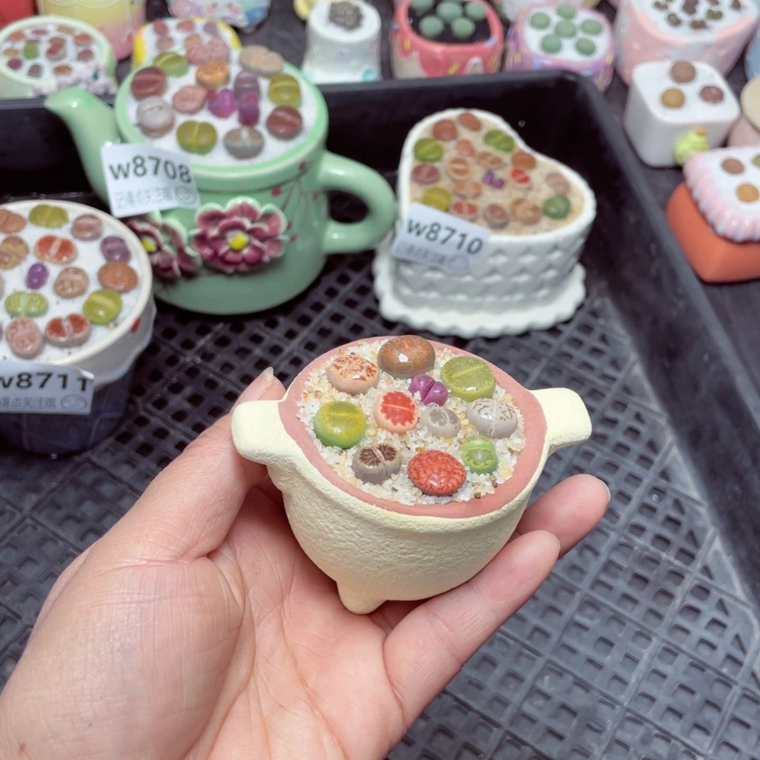 w8716 零下地区拍保温箱-15支持寄养