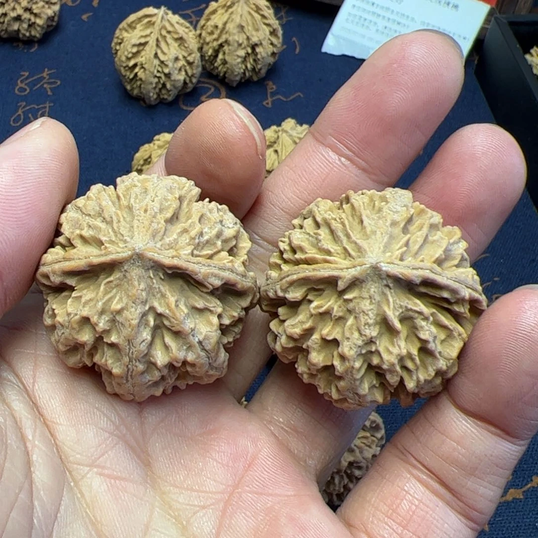 文玩核桃把件青*秦岭野生植物核桃