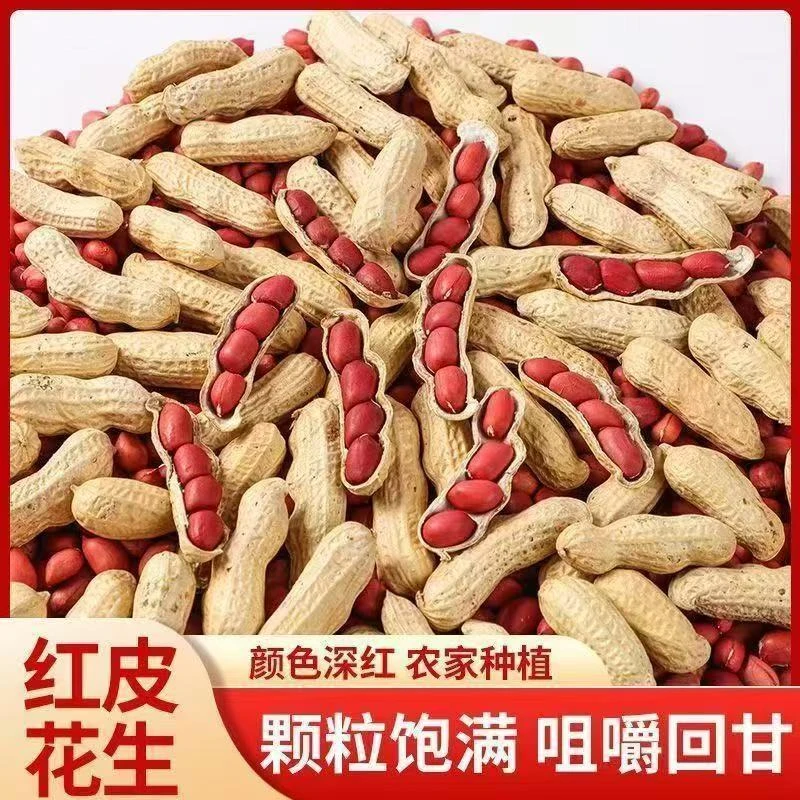 农村铁锅柴火炒花生还原小时候妈妈的味道