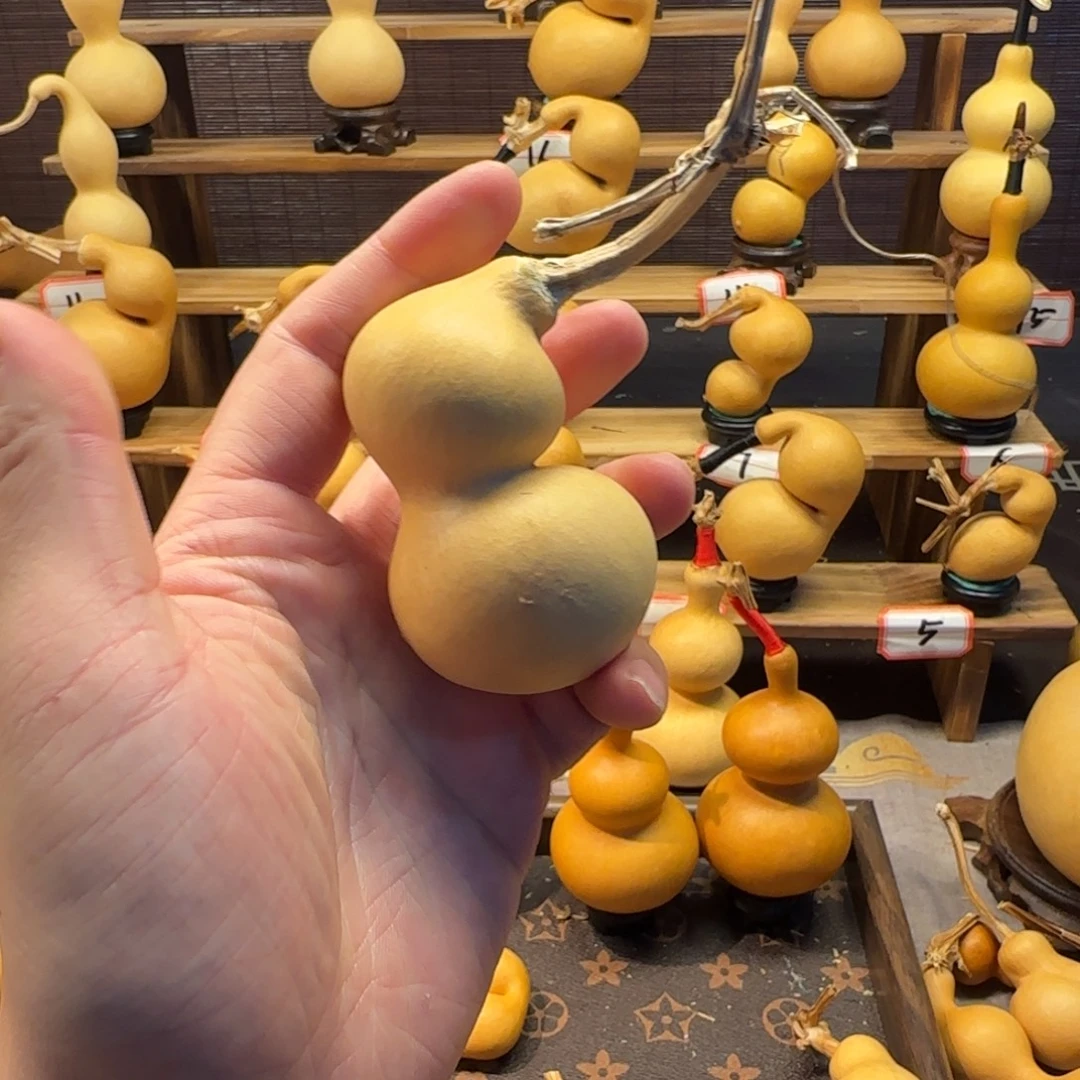 西***究客户需要闪购链接