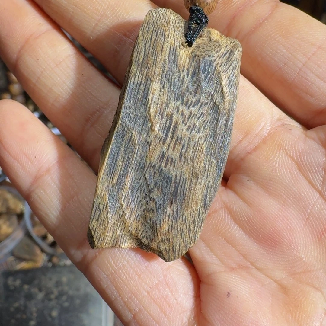 沉香碎屑沉香紫棋老料孤品一个