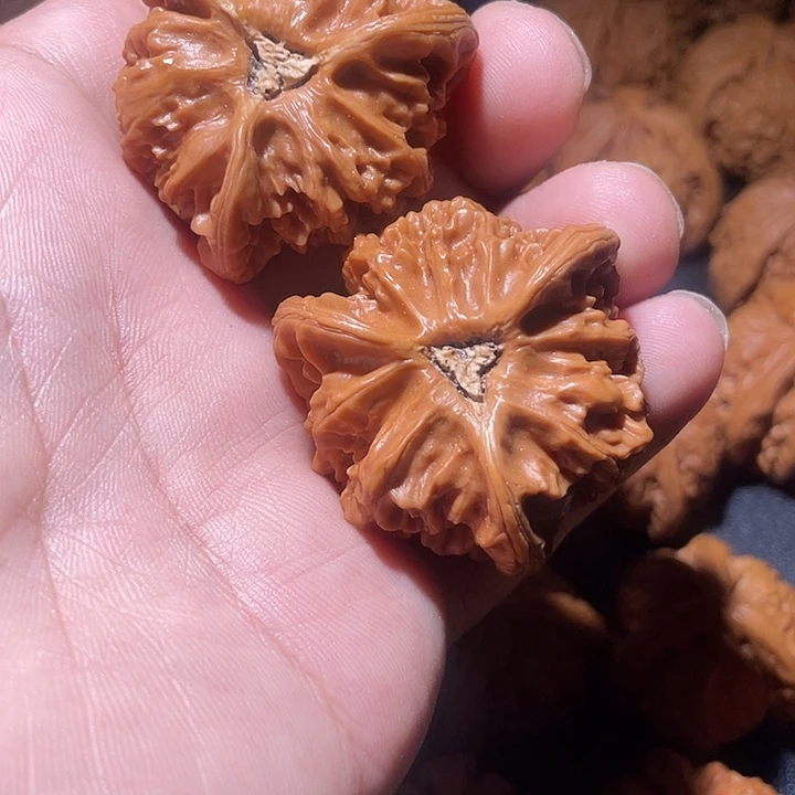 文玩核桃把件g*f你们都会