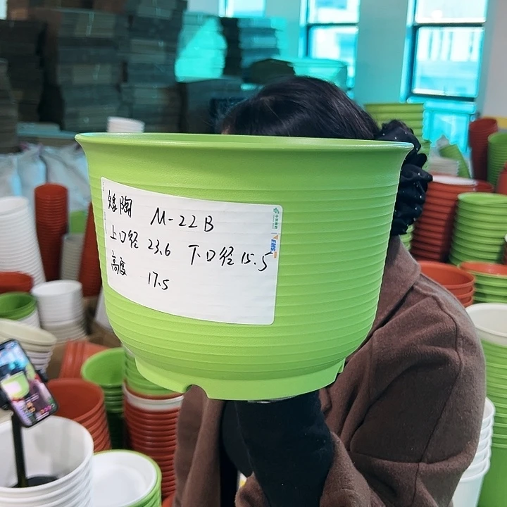 正品矮陶口23.6高17果绿无托6只