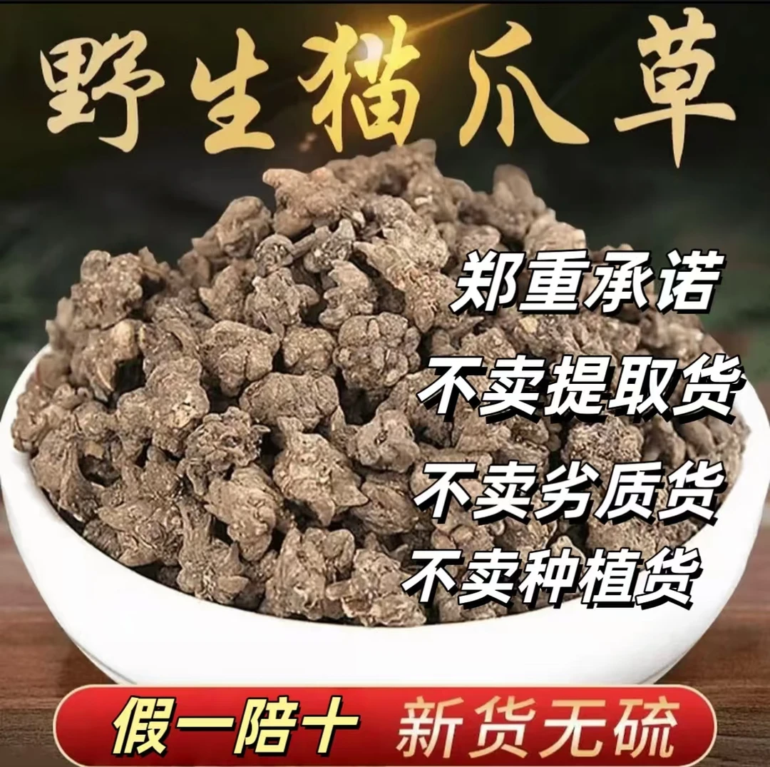正宗野生猫爪草水洗无熏硫假一赔十