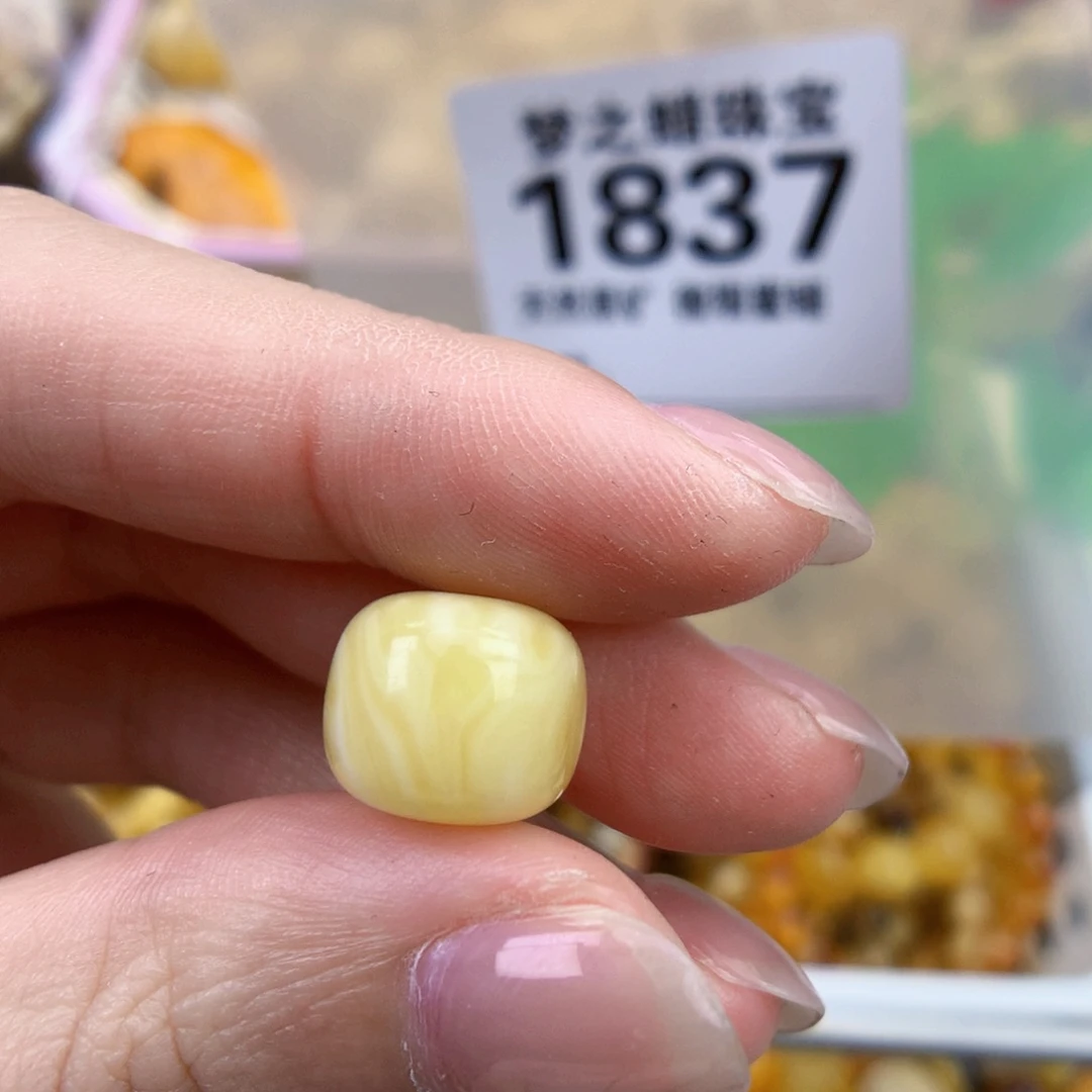 裸石琥珀未镶嵌12