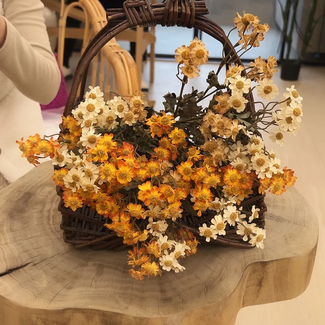 抖音直播间秋色洋甘菊10支