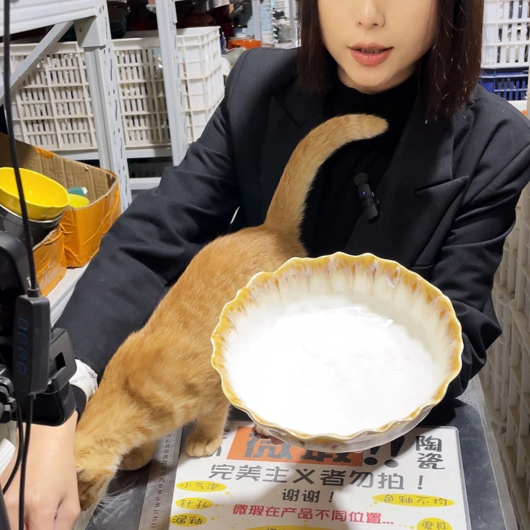 瓷片528。           2个