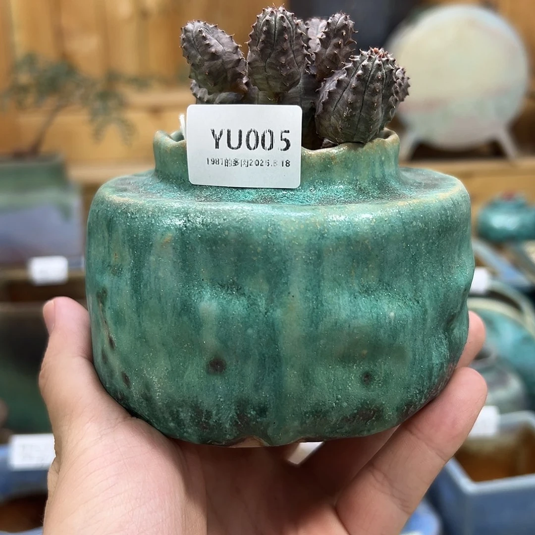 妙***青1987花盆YU005一套一套一套