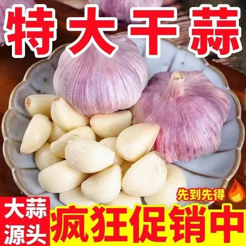 山东2025年当季紫皮干蒜特级精品