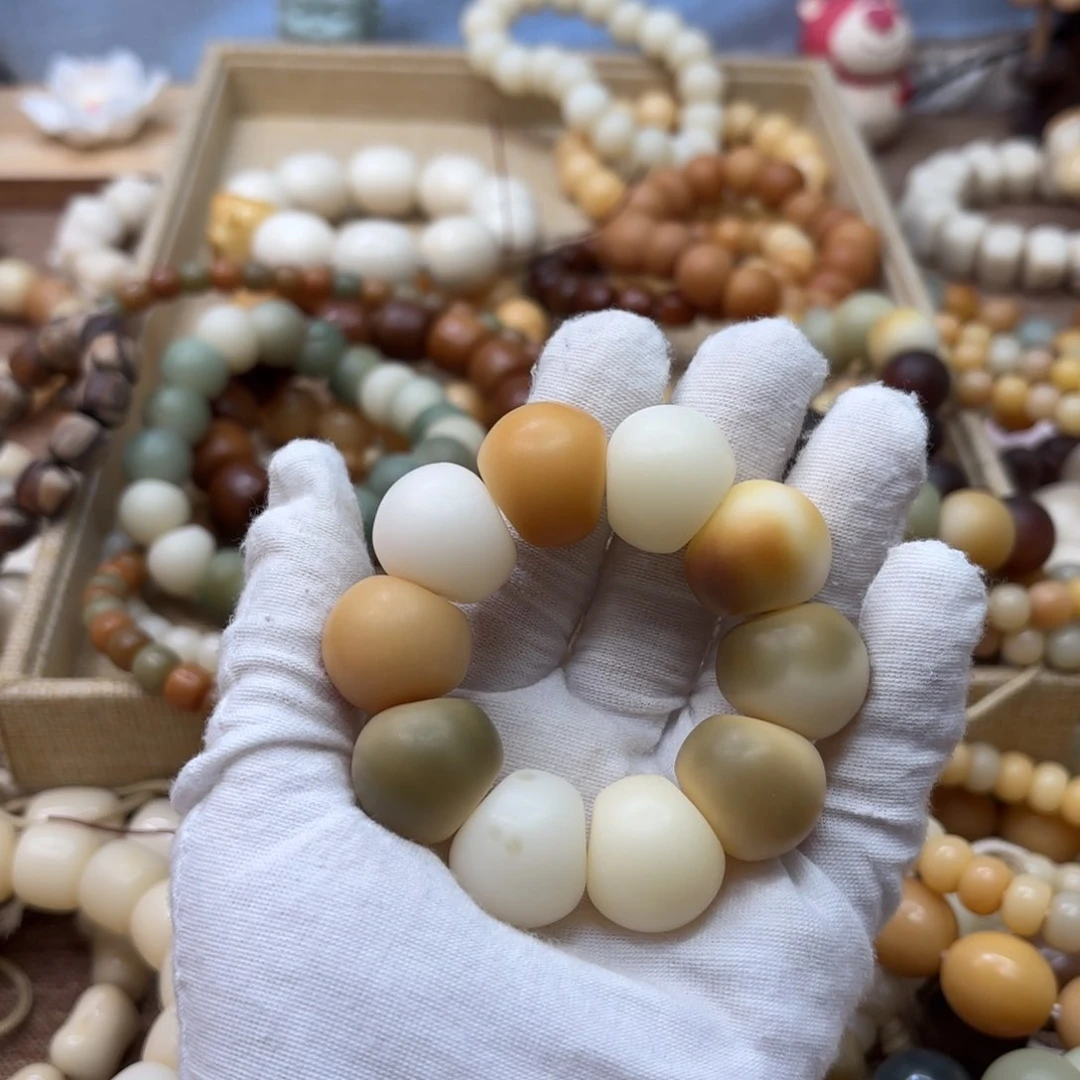 V****菩提根/象牙果吊坠20干磨落地果山竹默认瑕福利705