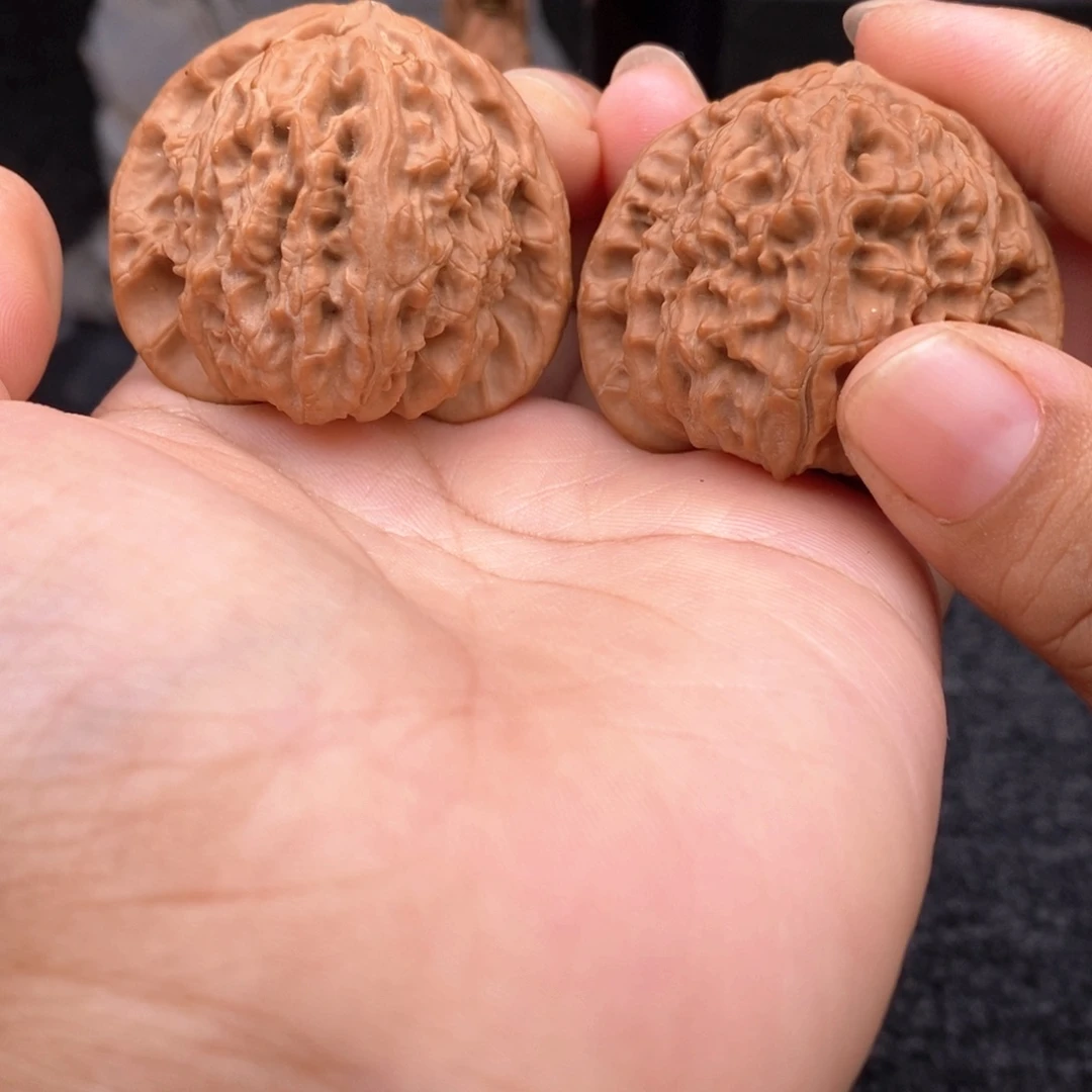 把件文玩核桃41白狮子