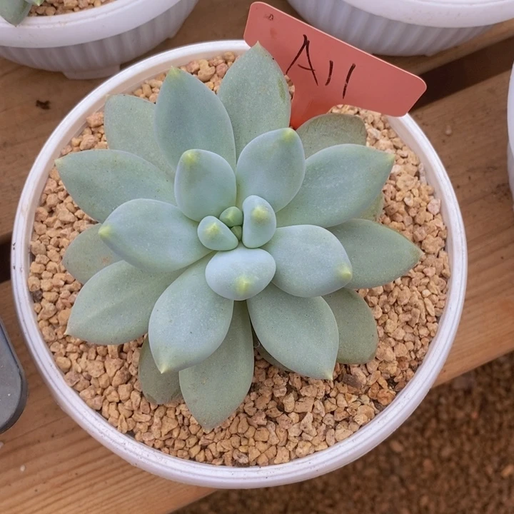 你就不要在联系我们