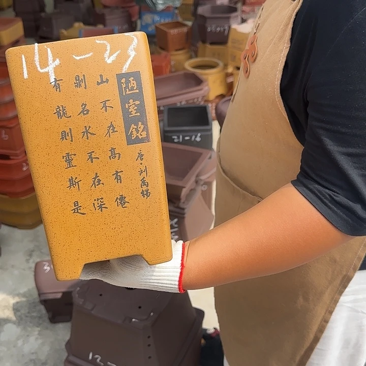 真的想看这篇了哈哈
