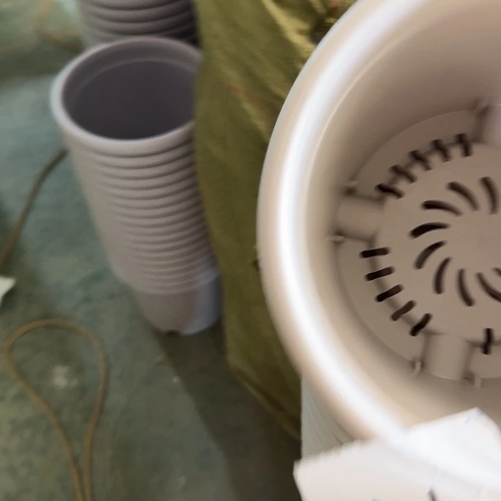 编号2613微瑕的3号10个