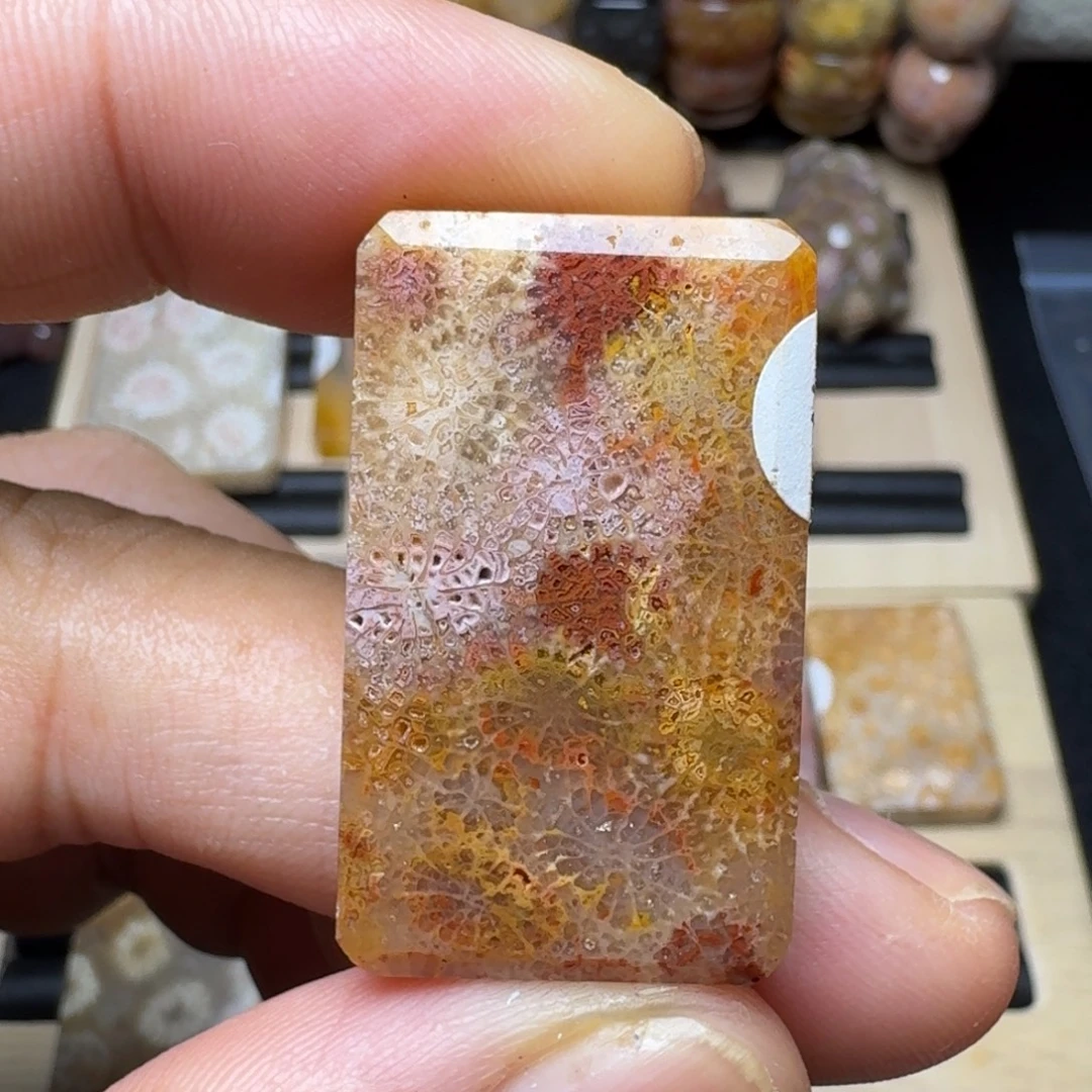 硅化珊瑚（珊瑚玉）未镶嵌纯天然色有机玉石保真色