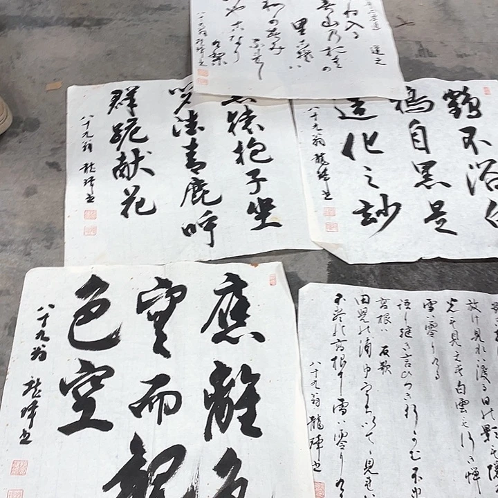 鑫**站精品画片专场