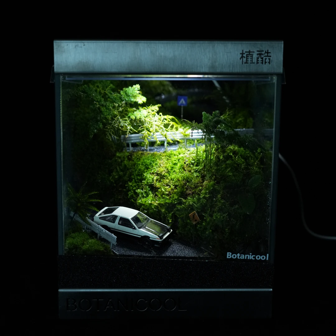 BOTANICOOL植酷创意牛马打工人礼物苔藓微景观桌面植物