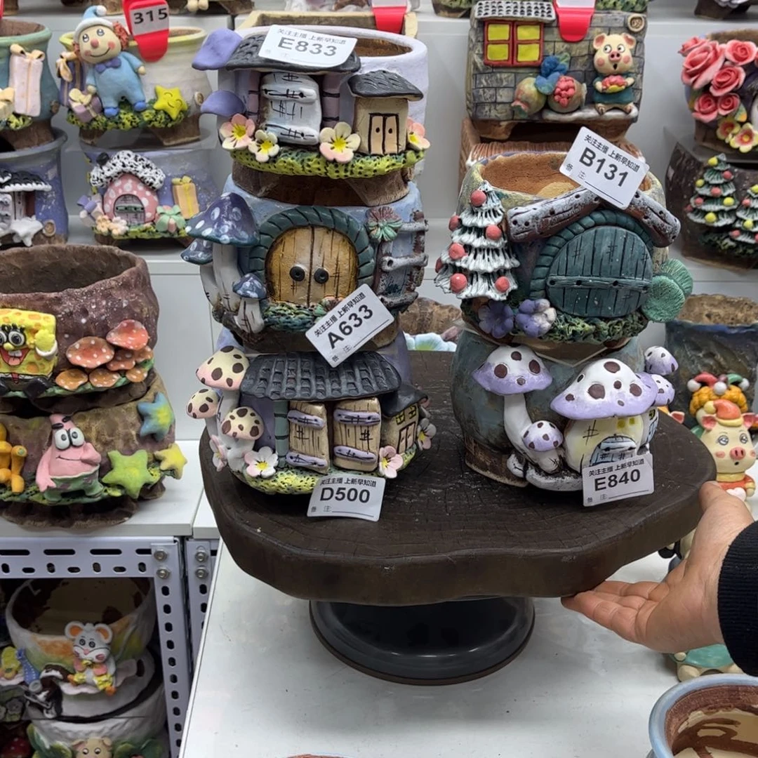 艾***肉花盆5只肉肉白狐瑕肉肉