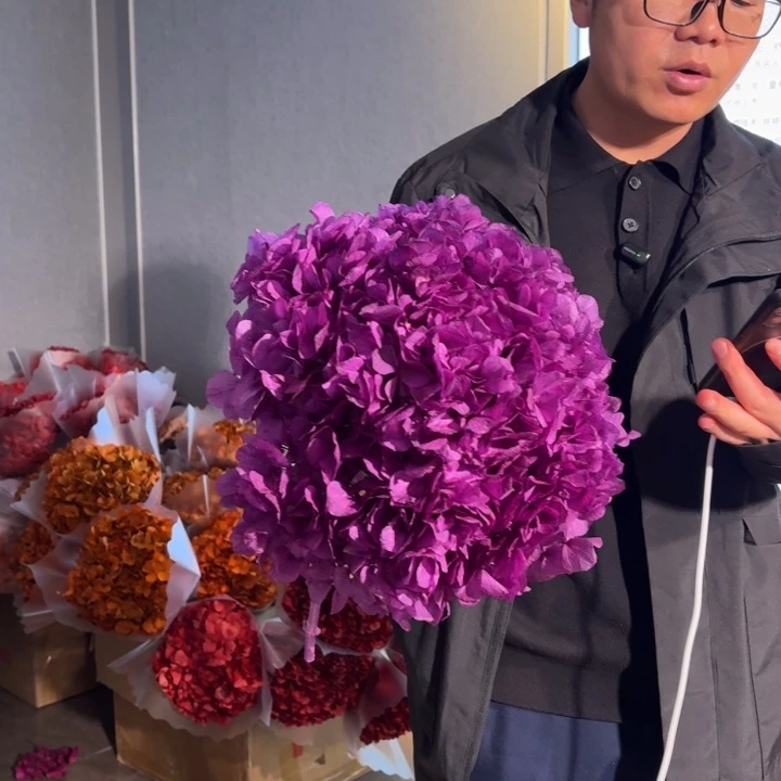漂色永生大叶绣球1枝 深粉紫