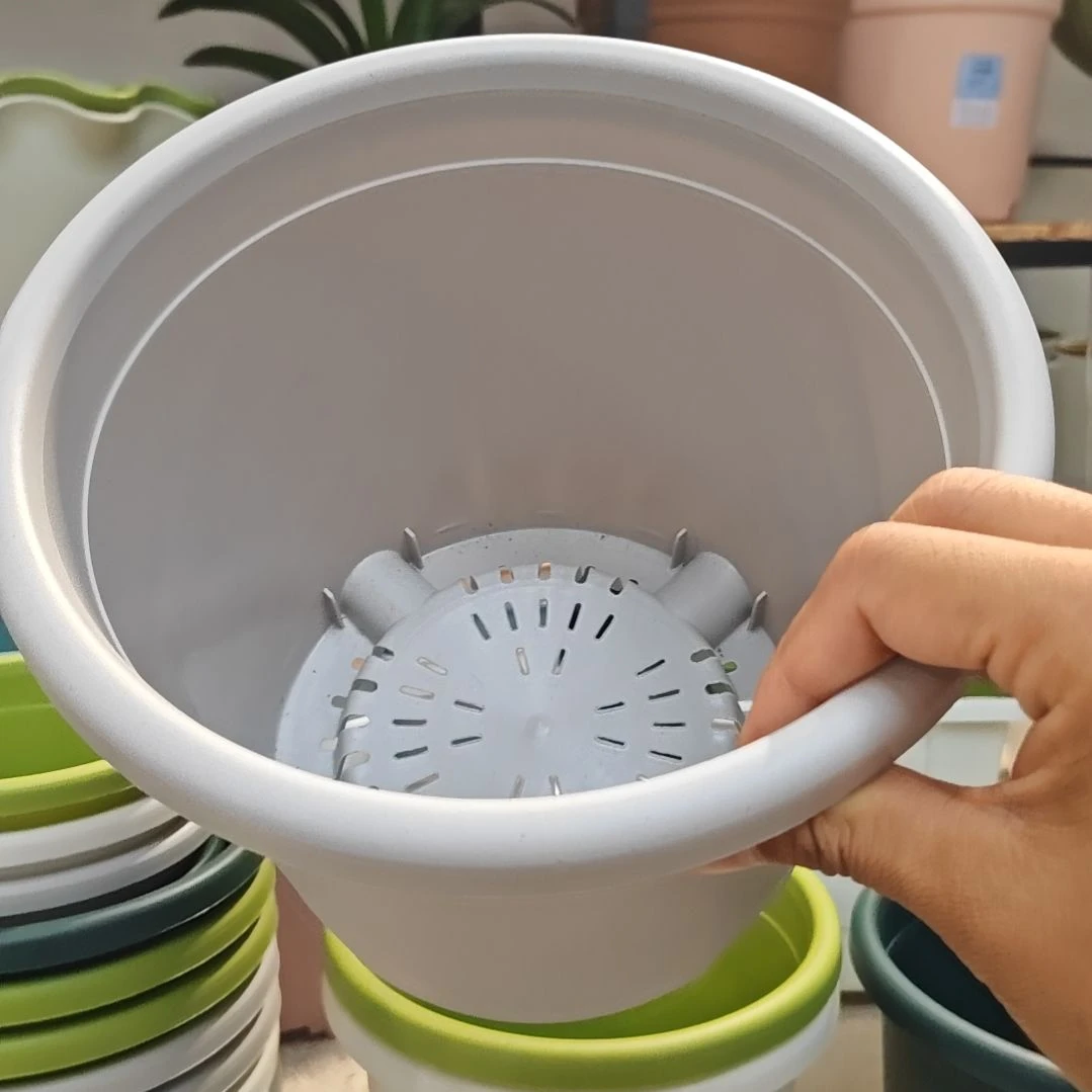 四季盆外口径21，高17.5，灰白无拖五个