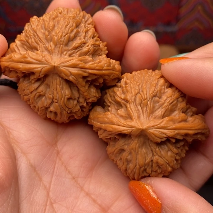 核桃南疆石45尺核桃