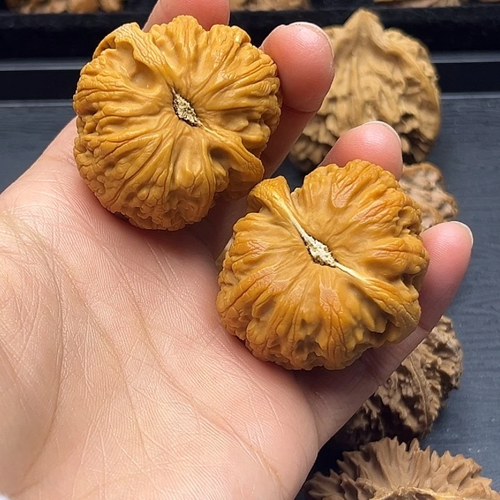 木质类秦岭突突突突突突突