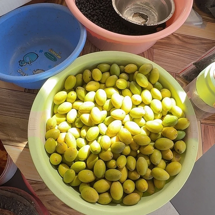 青榄两斤半黄榄咸辣
