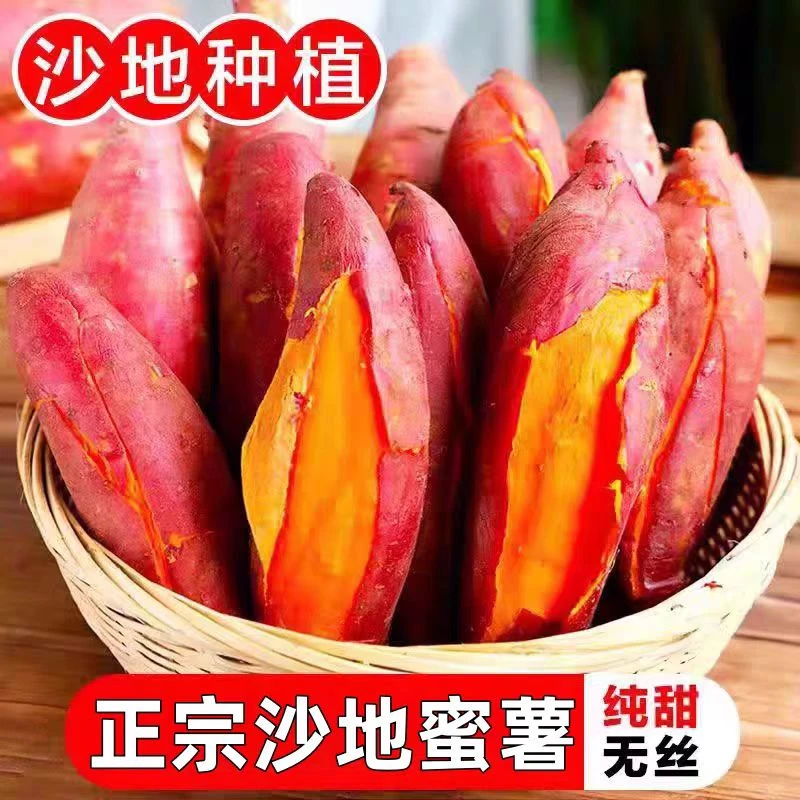 新鲜现挖沙地西瓜红蜜薯红心红薯软糯香甜农家自种