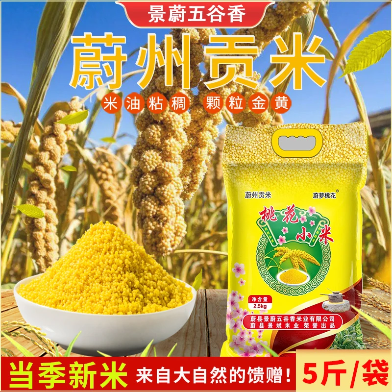 【24新米 冲量!】蔚县黄小米5斤/袋现磨桃花小米蔚州贡米张家口特产