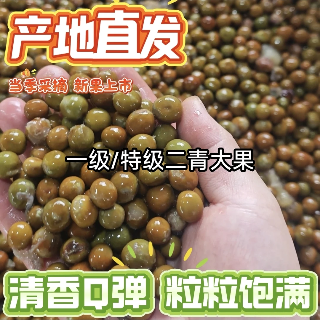 安徽特产新鲜带壳鸡头果种植基地直发二青一级/特级新果